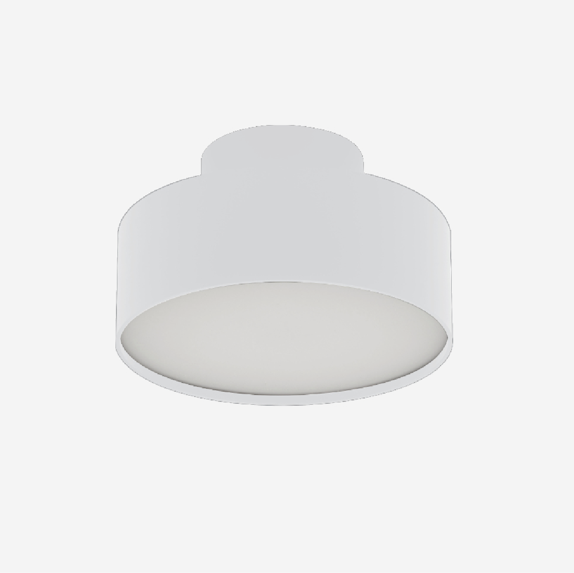 Caracal Ceiling Up/Down Light - White