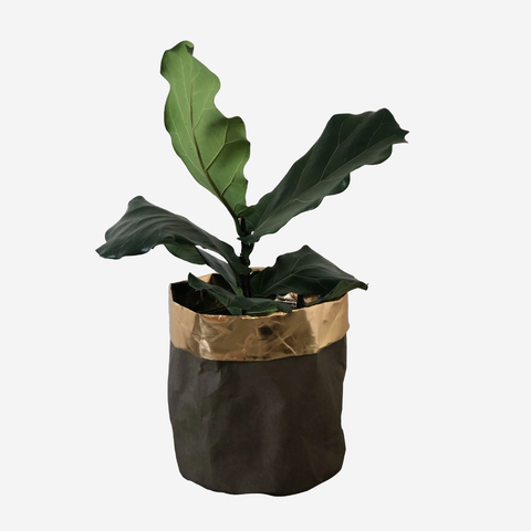 Eco-Friendly Planter - Black with Khaki Trim