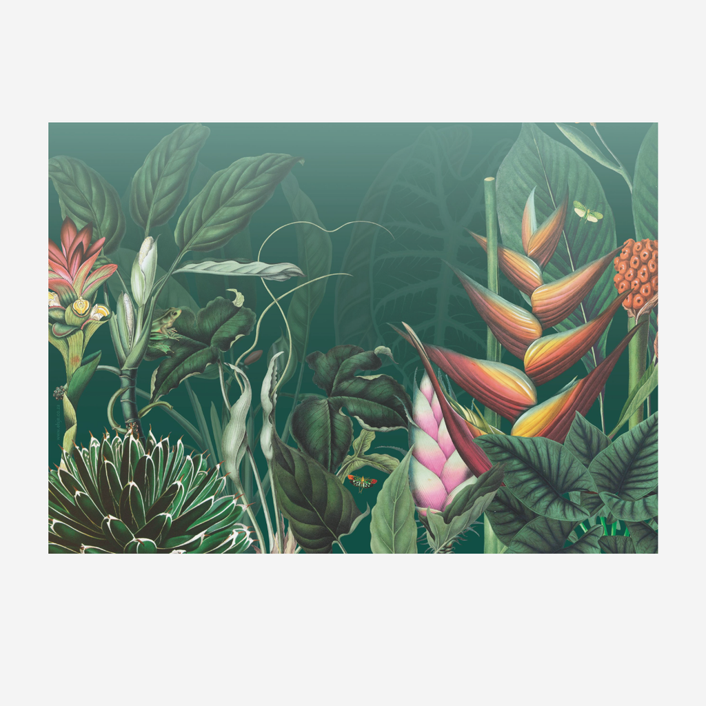 Paper Placemats - Misty Jungle