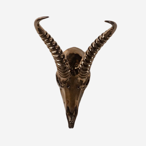 Impala Skull - Bronze
