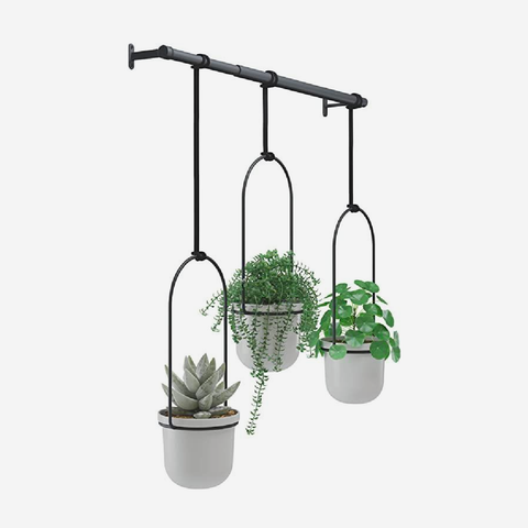 Triflora Hanging Planter - Black