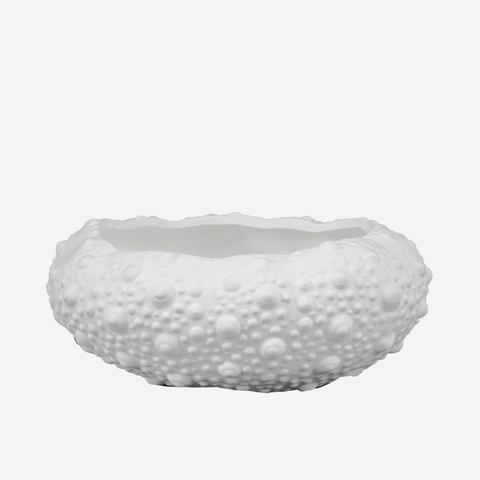Sea Shell Bowl - Breeze